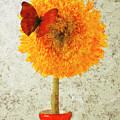 Sunflower and red butterfly
