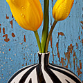 Two Yellow Tulips