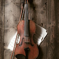 Violin